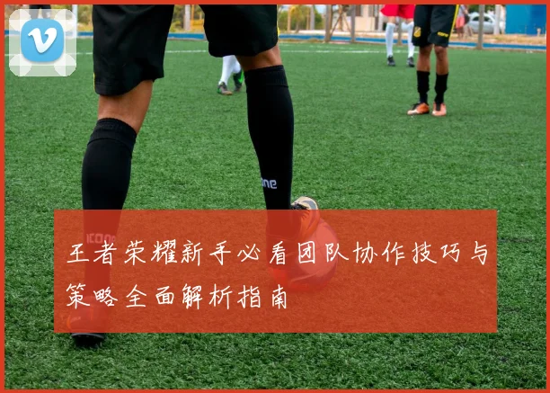 王者荣耀新手必看团队协作技巧与策略全面解析指南