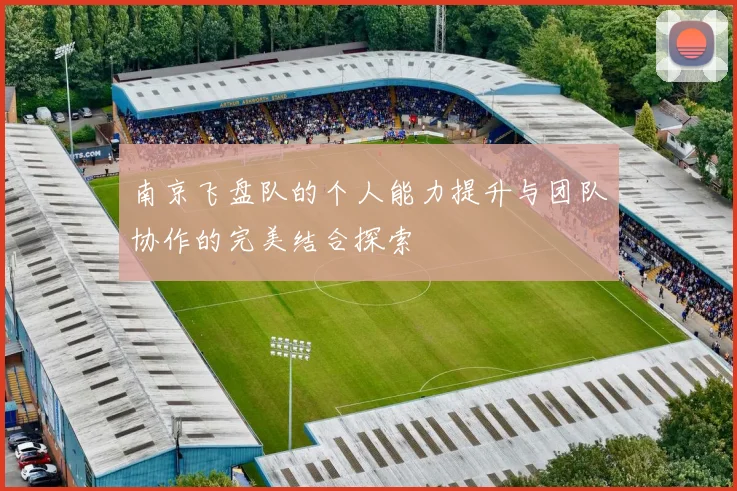 南京飞盘队的个人能力提升与团队协作的完美结合探索