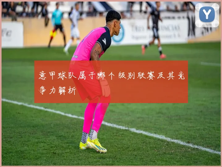 意甲球队属于哪个级别联赛及其竞争力解析